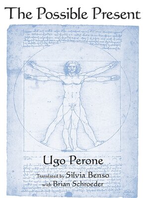 cover image of The Possible Present